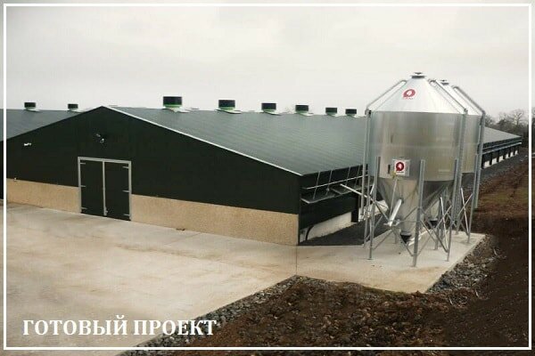 Этапы возведения птицефабрики от завода ВелесТент-глз